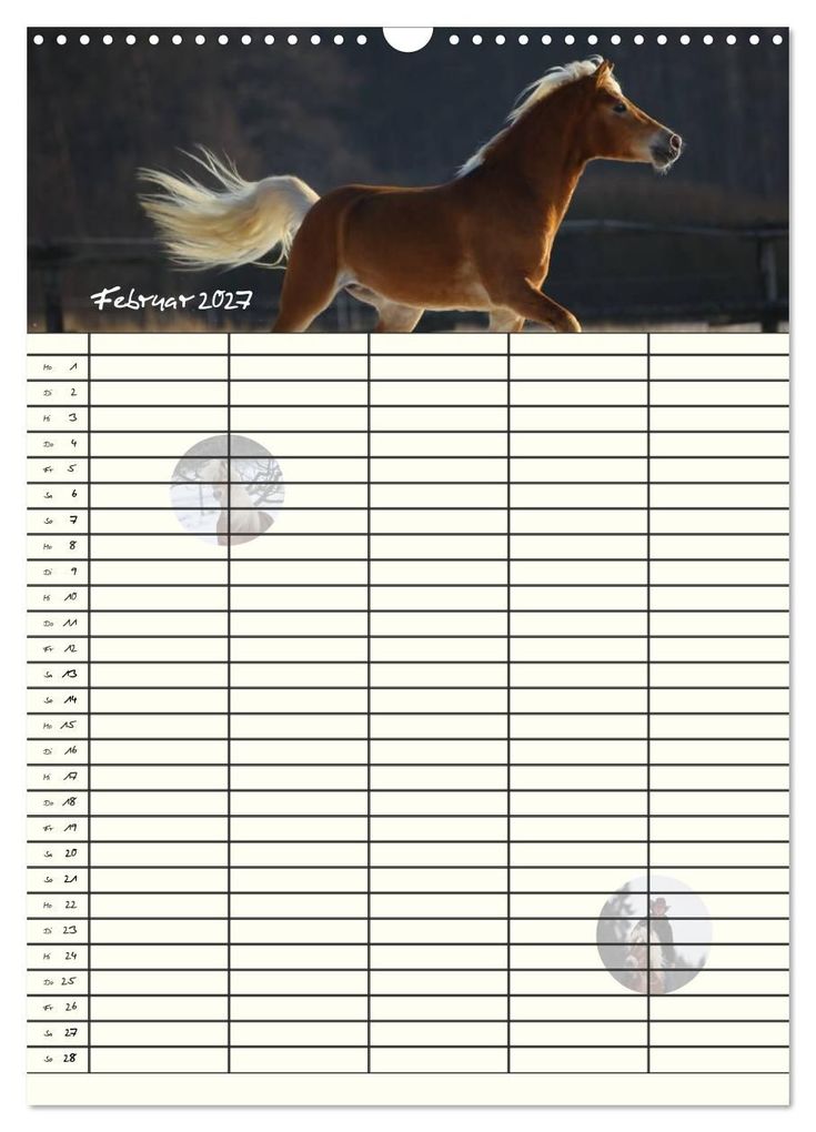 Weitere Ansicht: Haflinger Pferde - Stall- und Familienplaner 2027 (Wandkalender 2027 DIN A3 hoch), CALVENDO Monatskalender | Natural-Golden.de, Calvendo