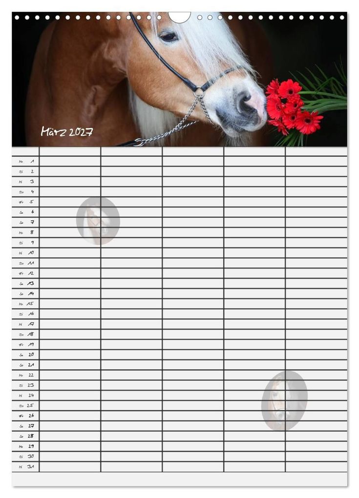 Weitere Ansicht: Haflinger Pferde - Stall- und Familienplaner 2027 (Wandkalender 2027 DIN A3 hoch), CALVENDO Monatskalender | Natural-Golden.de, Calvendo