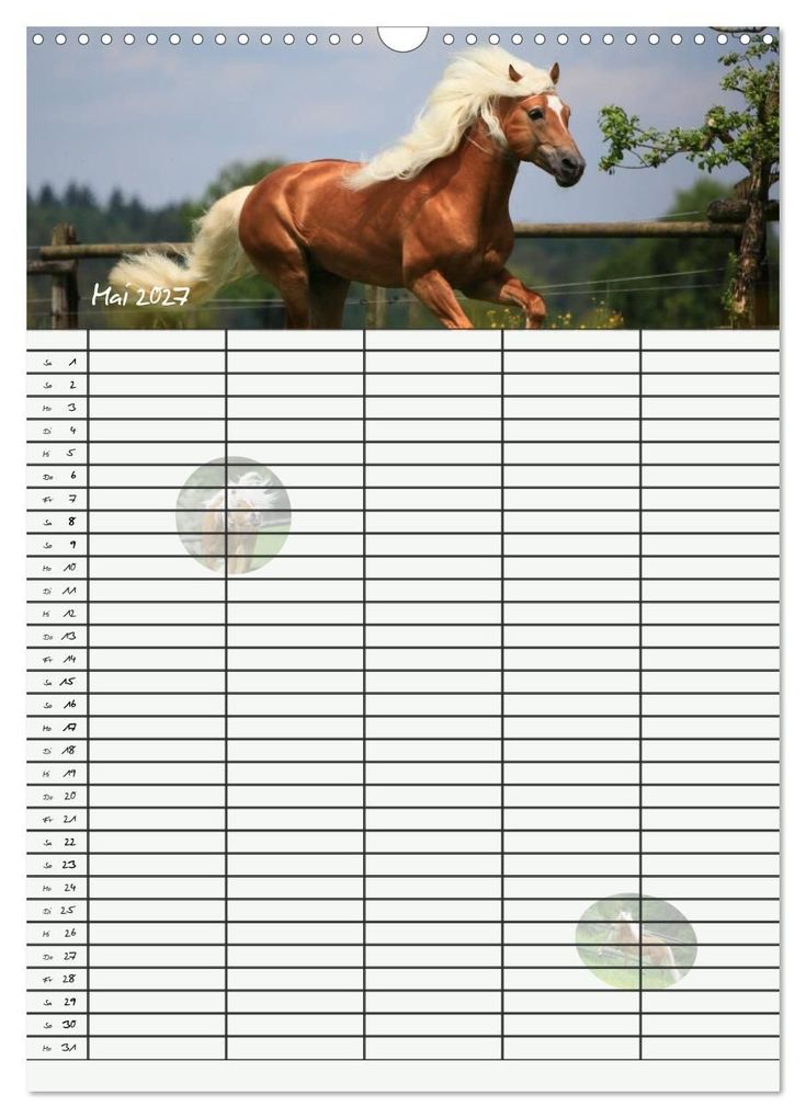 Weitere Ansicht: Haflinger Pferde - Stall- und Familienplaner 2027 (Wandkalender 2027 DIN A3 hoch), CALVENDO Monatskalender | Natural-Golden.de, Calvendo