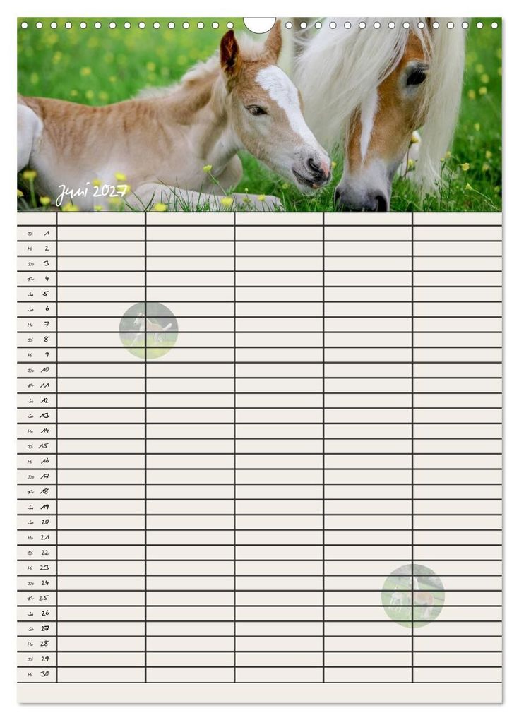 Weitere Ansicht: Haflinger Pferde - Stall- und Familienplaner 2027 (Wandkalender 2027 DIN A3 hoch), CALVENDO Monatskalender | Natural-Golden.de, Calvendo