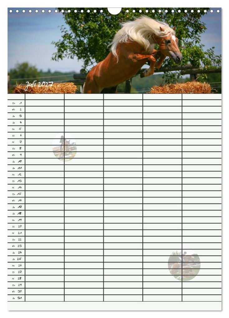 Weitere Ansicht: Haflinger Pferde - Stall- und Familienplaner 2027 (Wandkalender 2027 DIN A3 hoch), CALVENDO Monatskalender | Natural-Golden.de, Calvendo