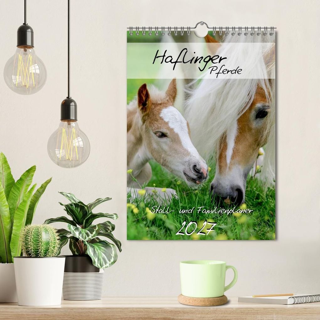 Weitere Ansicht: Haflinger Pferde - Stall- und Familienplaner 2027 (Wandkalender 2027 DIN A4 hoch), CALVENDO Monatskalender | Natural-Golden.de, Calvendo