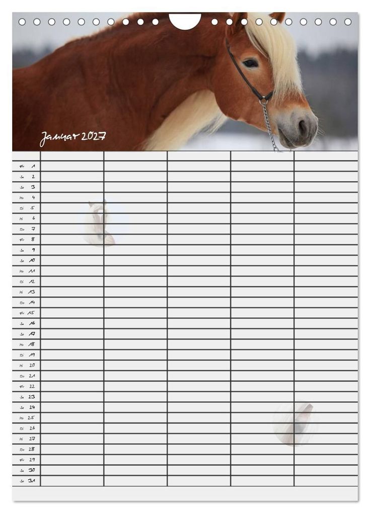 Weitere Ansicht: Haflinger Pferde - Stall- und Familienplaner 2027 (Wandkalender 2027 DIN A4 hoch), CALVENDO Monatskalender | Natural-Golden.de, Calvendo