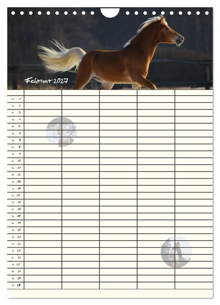 Weitere Ansicht: Haflinger Pferde - Stall- und Familienplaner 2027 (Wandkalender 2027 DIN A4 hoch), CALVENDO Monatskalender | Natural-Golden.de, Calvendo