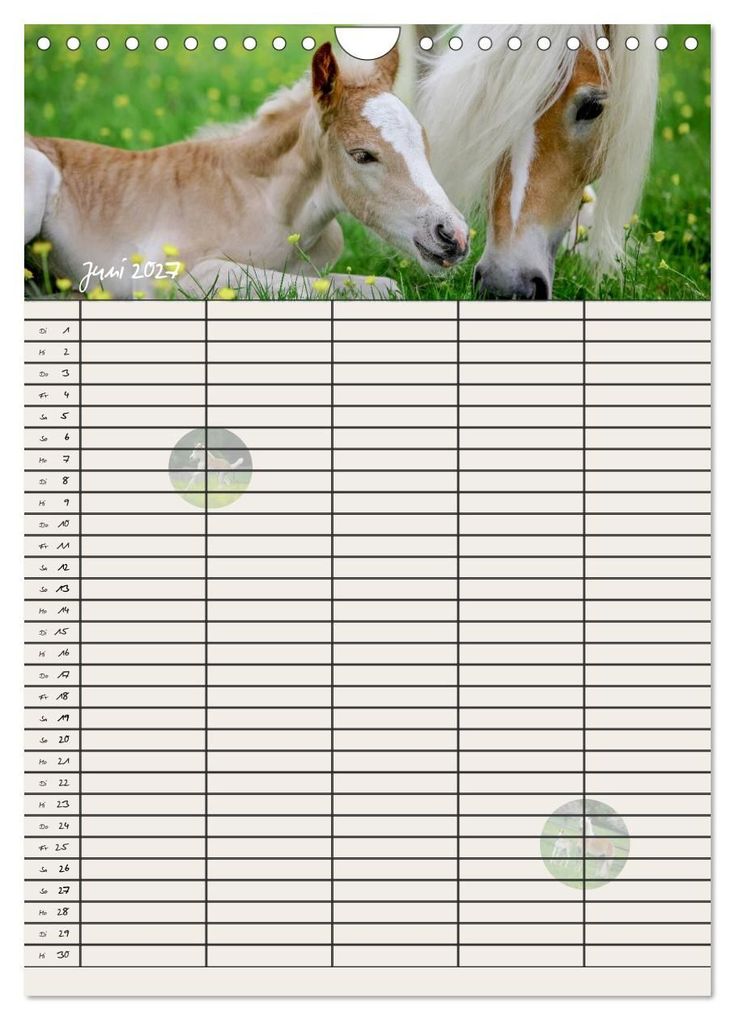 Weitere Ansicht: Haflinger Pferde - Stall- und Familienplaner 2027 (Wandkalender 2027 DIN A4 hoch), CALVENDO Monatskalender | Natural-Golden.de, Calvendo