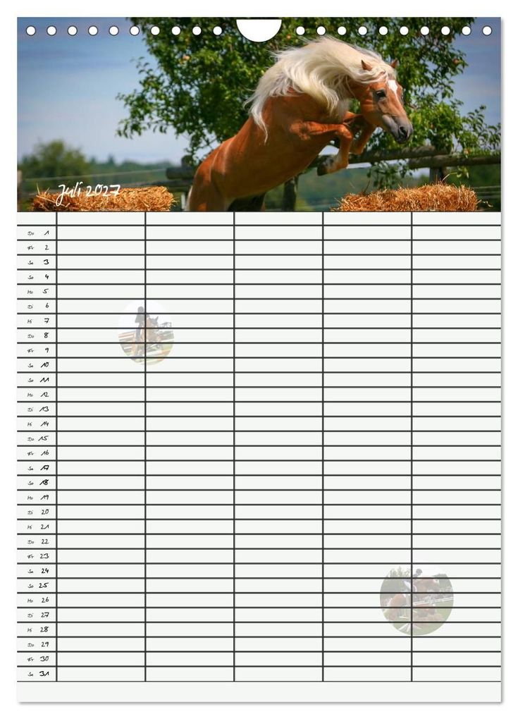 Weitere Ansicht: Haflinger Pferde - Stall- und Familienplaner 2027 (Wandkalender 2027 DIN A4 hoch), CALVENDO Monatskalender | Natural-Golden.de, Calvendo