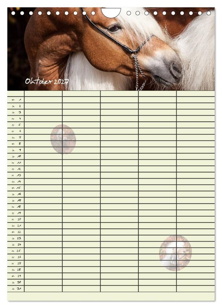 Weitere Ansicht: Haflinger Pferde - Stall- und Familienplaner 2027 (Wandkalender 2027 DIN A4 hoch), CALVENDO Monatskalender | Natural-Golden.de, Calvendo