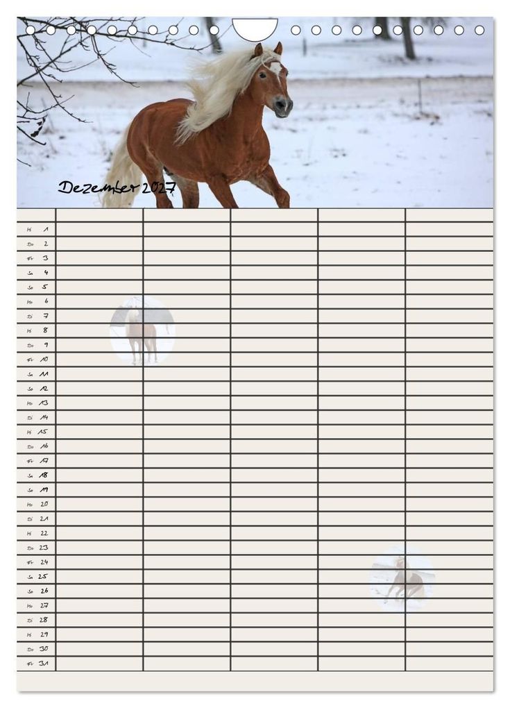 Weitere Ansicht: Haflinger Pferde - Stall- und Familienplaner 2027 (Wandkalender 2027 DIN A4 hoch), CALVENDO Monatskalender | Natural-Golden.de, Calvendo