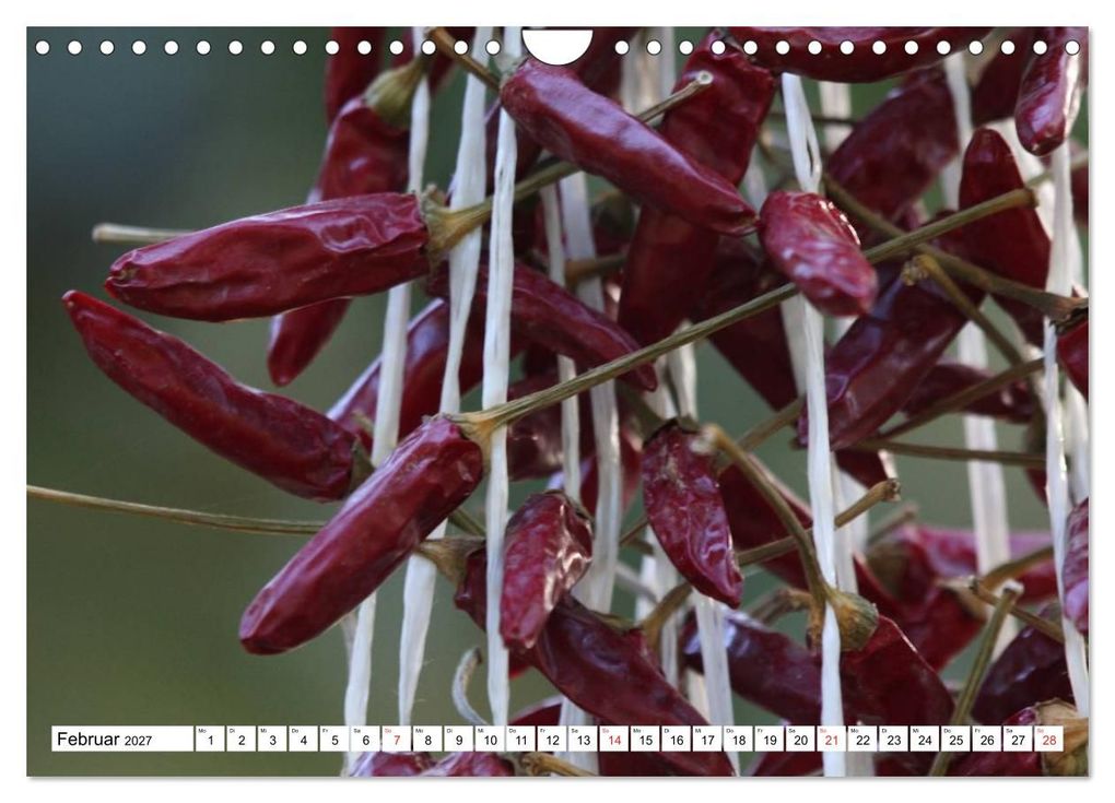 Weitere Ansicht: Für Chili Liebhaber (Wandkalender 2027 DIN A4 quer), CALVENDO Monatskalender | SchnelleWelten, Calvendo