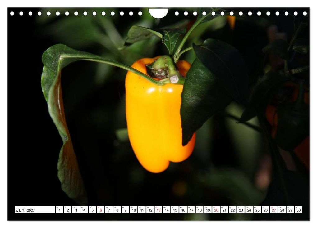 Weitere Ansicht: Für Chili Liebhaber (Wandkalender 2027 DIN A4 quer), CALVENDO Monatskalender | SchnelleWelten, Calvendo
