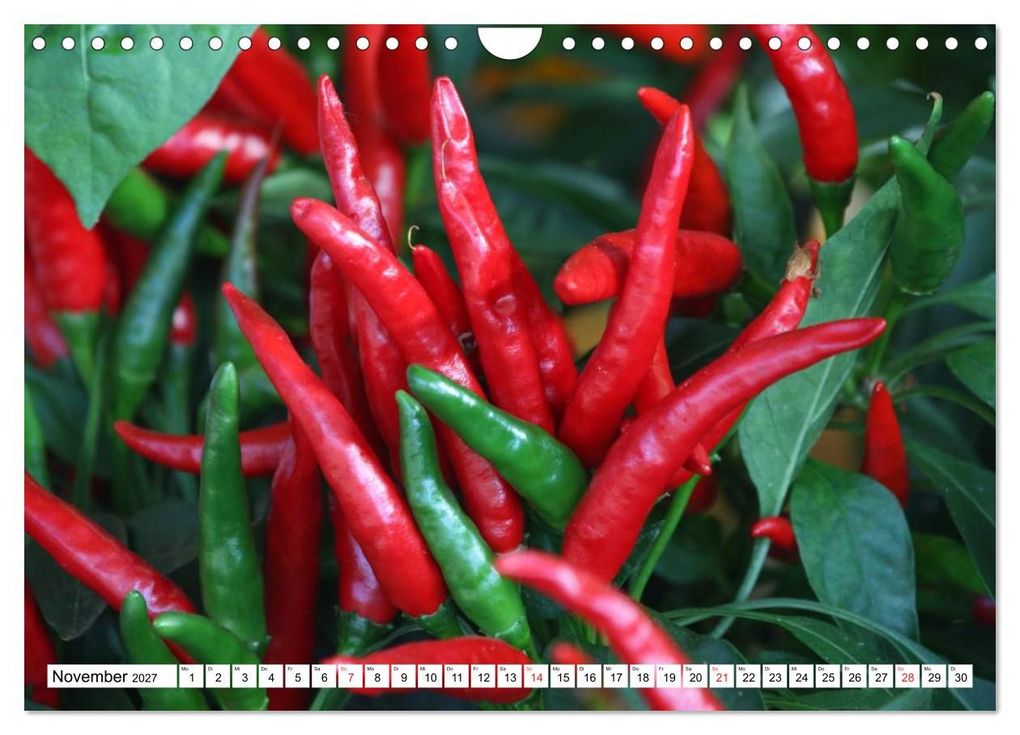 Weitere Ansicht: Für Chili Liebhaber (Wandkalender 2027 DIN A4 quer), CALVENDO Monatskalender | SchnelleWelten, Calvendo