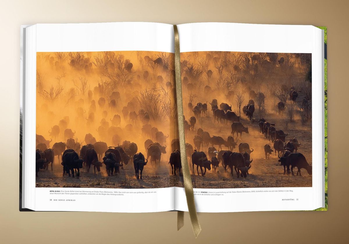 Weitere Ansicht: Die Seele Afrikas | Dereck Joubert