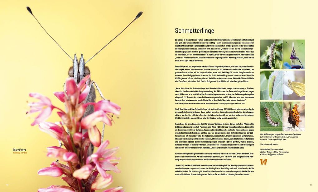 Weitere Ansicht: Mein Artenretter Garten | Anja Eder