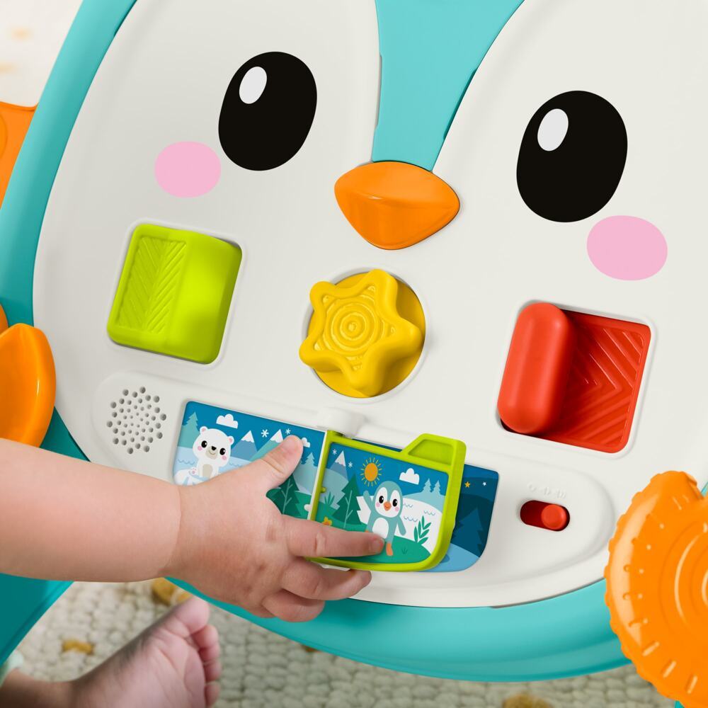 Weitere Ansicht: Fisher-Price Penguin Walker.JHF74