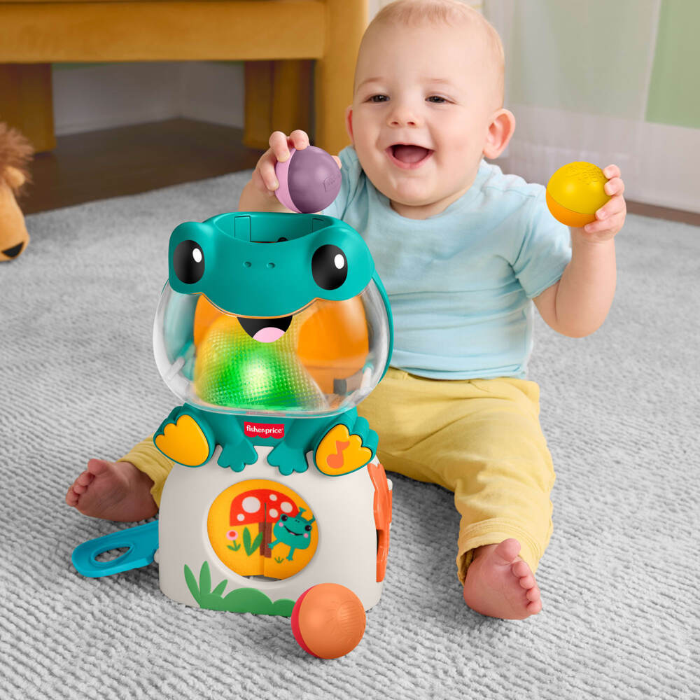 Weitere Ansicht: Fisher-Price Seek & Hide Frog.JLB96