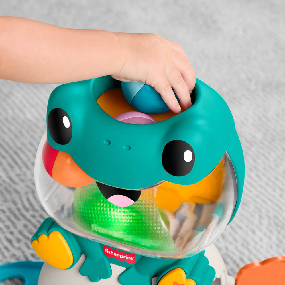 Weitere Ansicht: Fisher-Price Seek & Hide Frog.JLB96