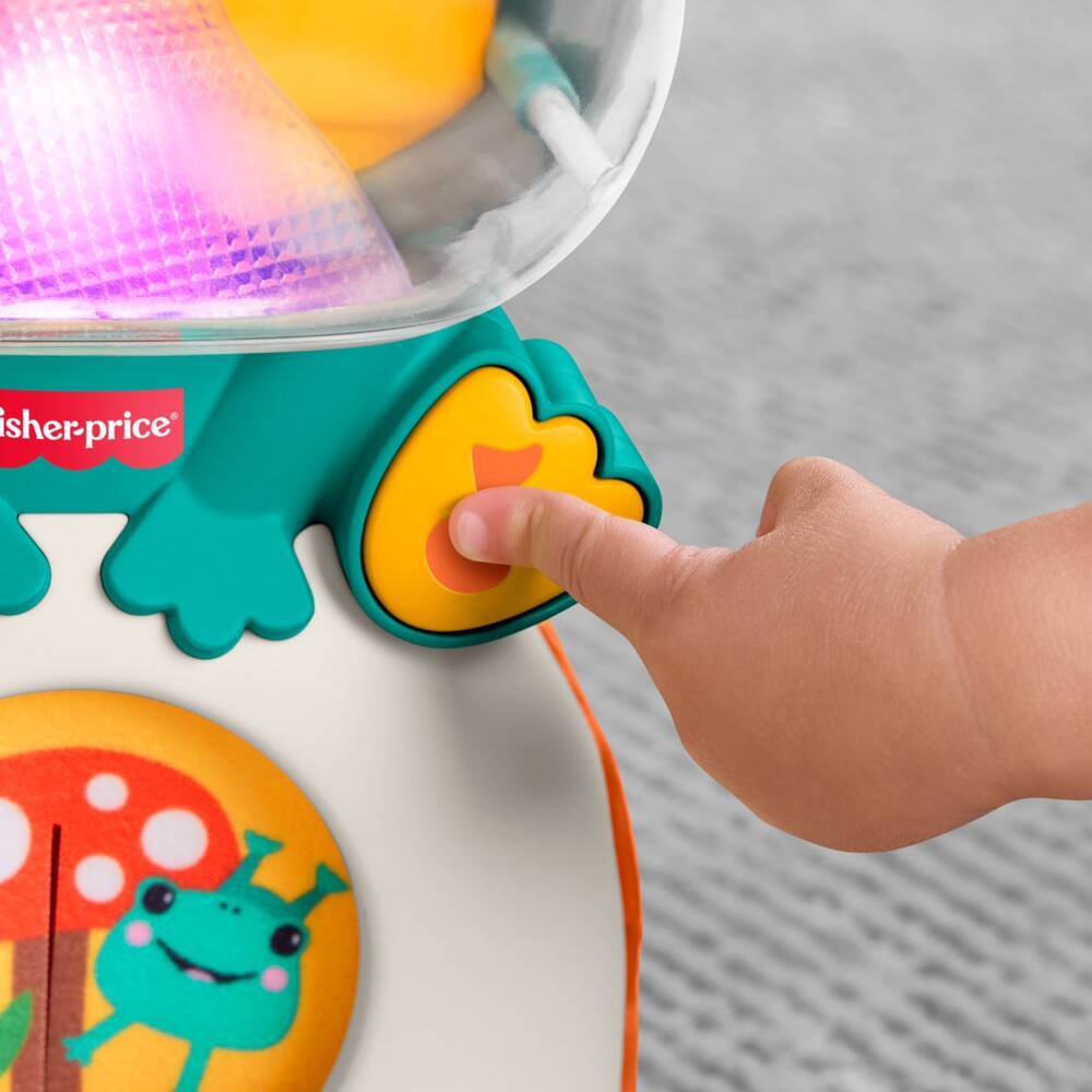 Weitere Ansicht: Fisher-Price Seek & Hide Frog.JLB96