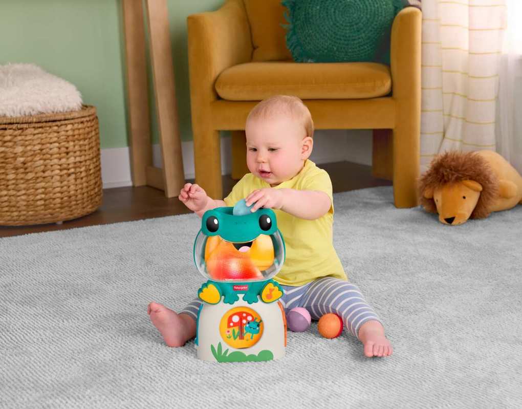 Weitere Ansicht: Fisher-Price Seek & Hide Frog.JLB96