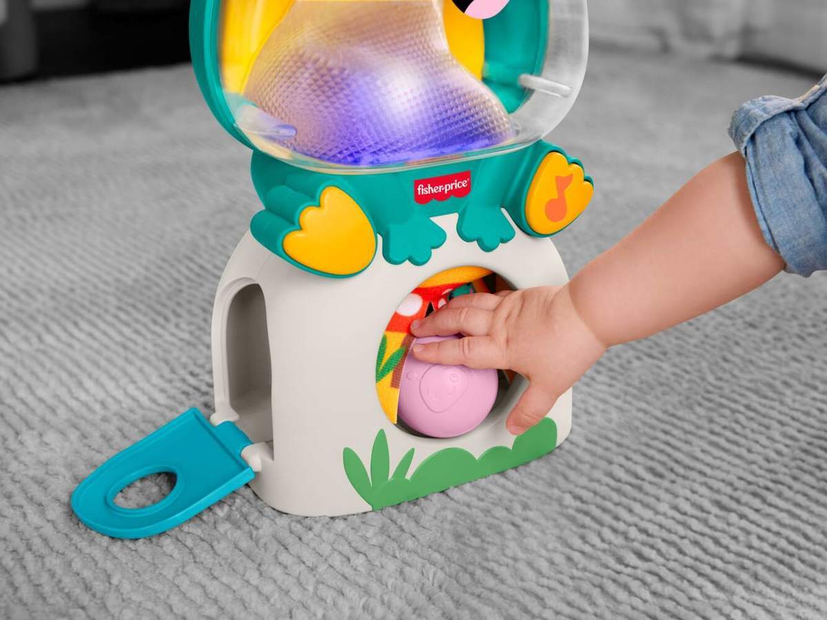 Weitere Ansicht: Fisher-Price Seek & Hide Frog.JLB96