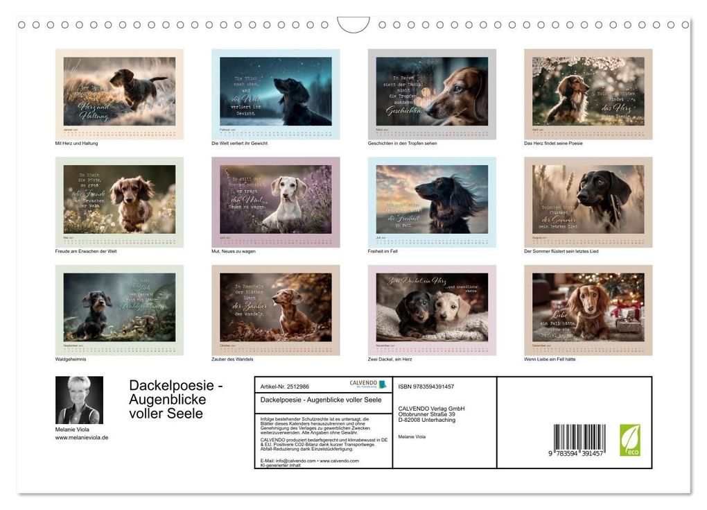 Weitere Ansicht: Dackelpoesie - Augenblicke voller Seele (Wandkalender 2027 DIN A3 quer), CALVENDO Monatskalender | Melanie Viola, Calvendo
