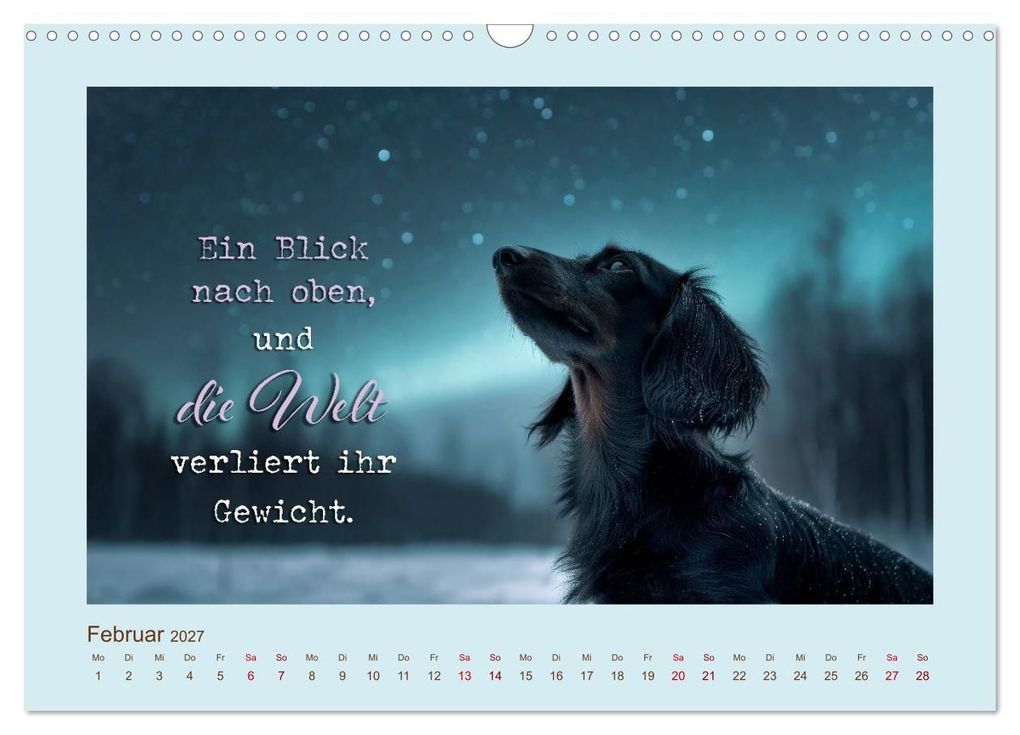 Weitere Ansicht: Dackelpoesie - Augenblicke voller Seele (Wandkalender 2027 DIN A3 quer), CALVENDO Monatskalender | Melanie Viola, Calvendo