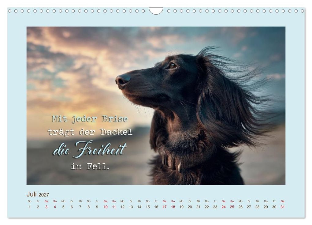 Weitere Ansicht: Dackelpoesie - Augenblicke voller Seele (Wandkalender 2027 DIN A3 quer), CALVENDO Monatskalender | Melanie Viola, Calvendo
