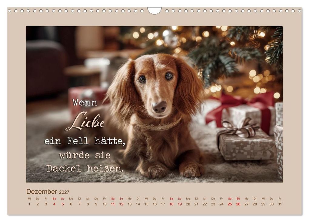Weitere Ansicht: Dackelpoesie - Augenblicke voller Seele (Wandkalender 2027 DIN A3 quer), CALVENDO Monatskalender | Melanie Viola, Calvendo