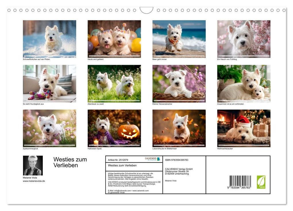 Weitere Ansicht: Westies zum Verlieben (Wandkalender 2027 DIN A3 quer), CALVENDO Monatskalender | Melanie Viola, Calvendo