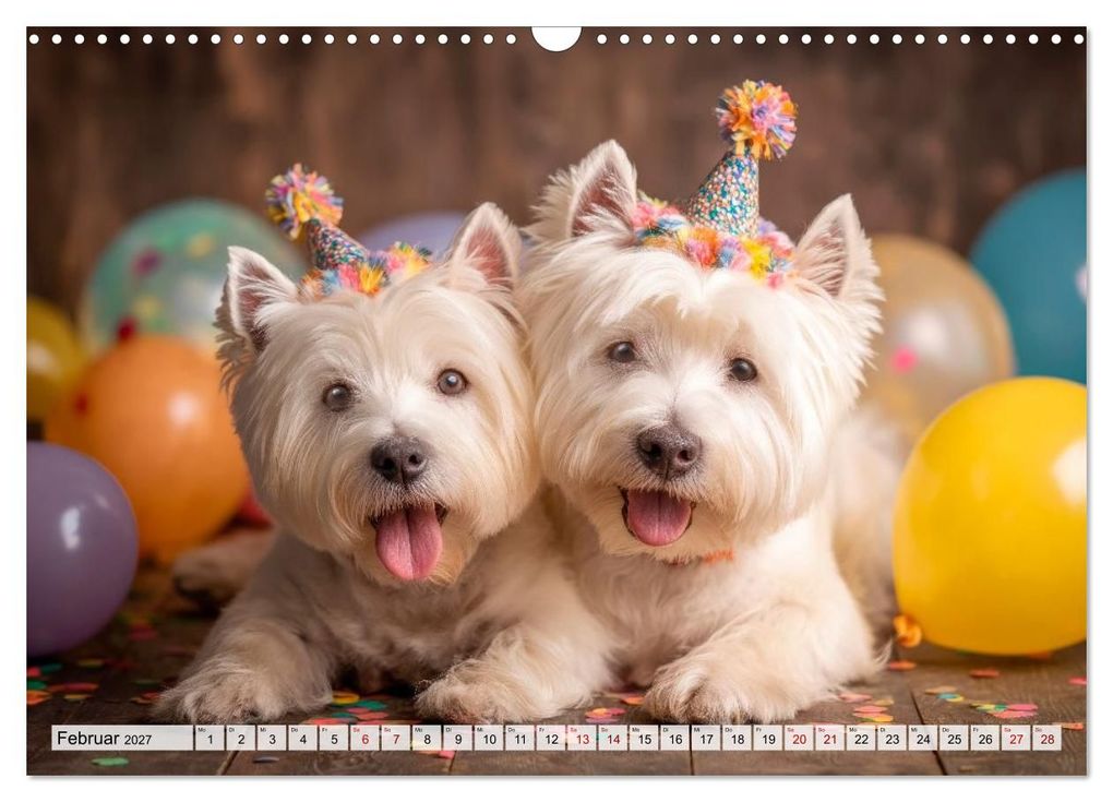 Weitere Ansicht: Westies zum Verlieben (Wandkalender 2027 DIN A3 quer), CALVENDO Monatskalender | Melanie Viola, Calvendo