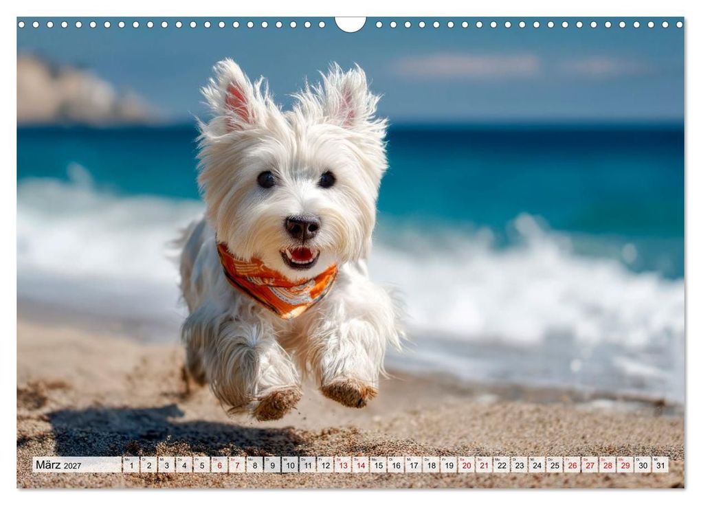 Weitere Ansicht: Westies zum Verlieben (Wandkalender 2027 DIN A3 quer), CALVENDO Monatskalender | Melanie Viola, Calvendo