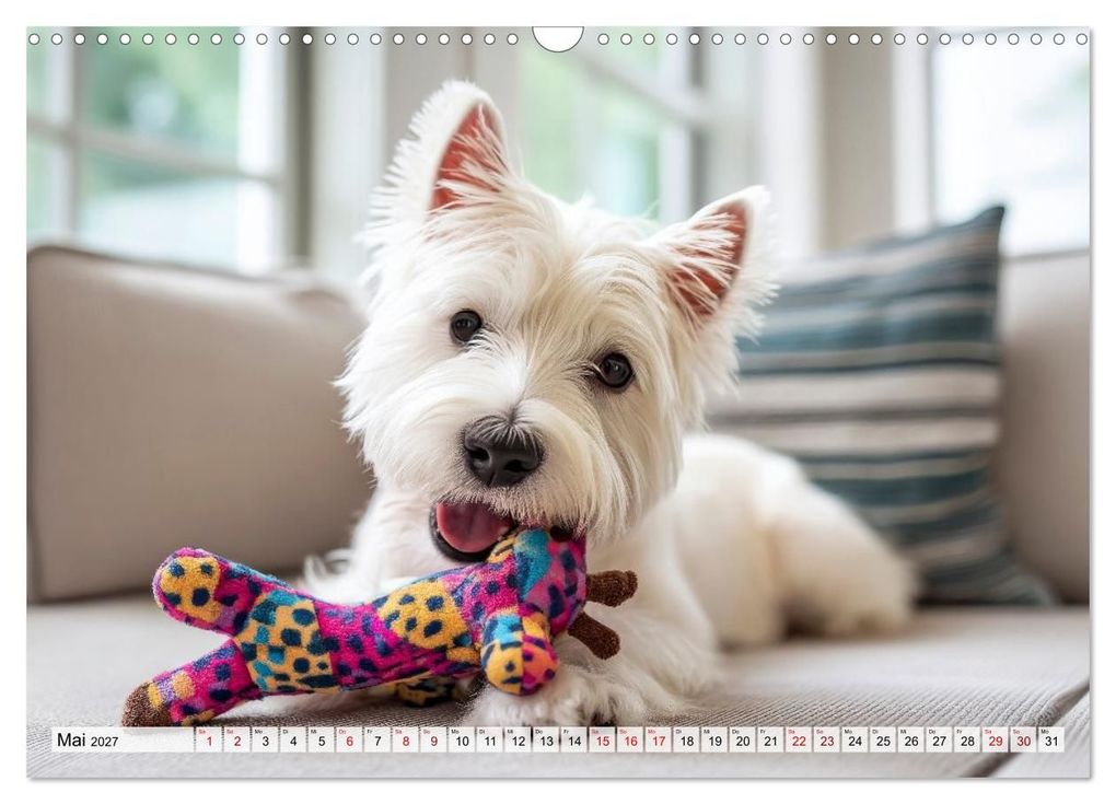 Weitere Ansicht: Westies zum Verlieben (Wandkalender 2027 DIN A3 quer), CALVENDO Monatskalender | Melanie Viola, Calvendo