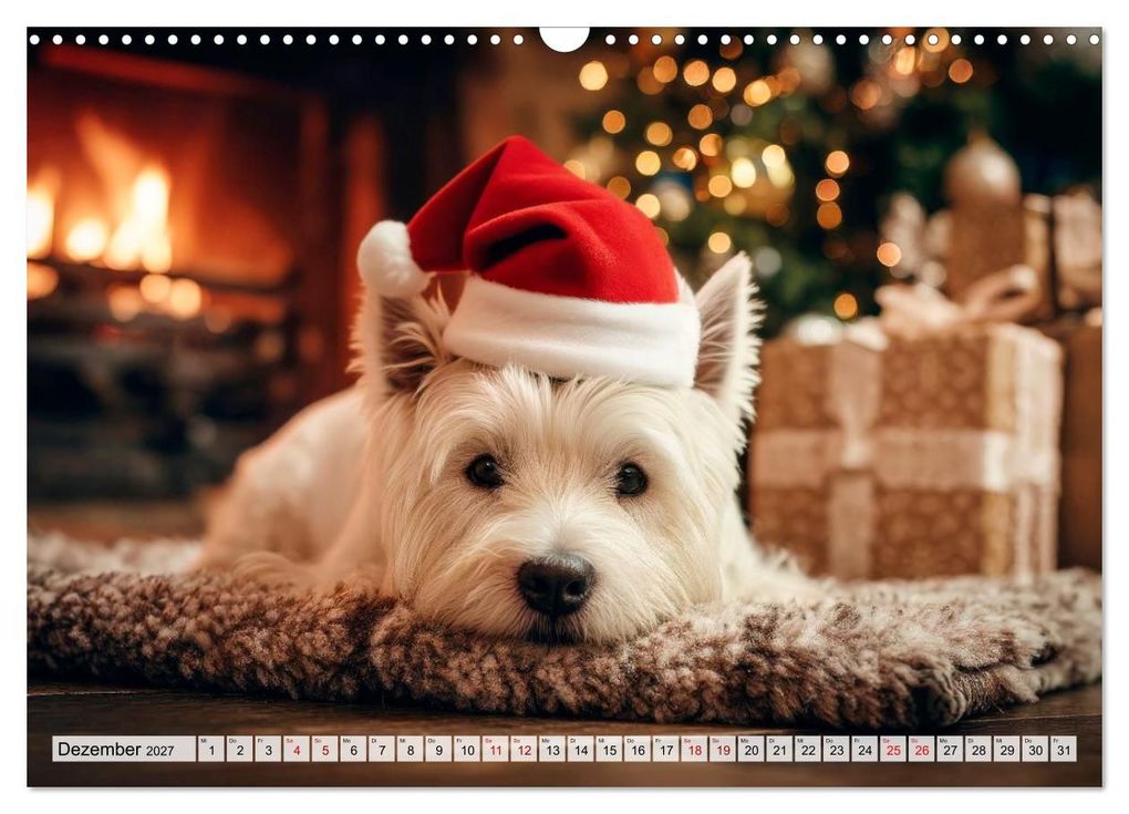 Weitere Ansicht: Westies zum Verlieben (Wandkalender 2027 DIN A3 quer), CALVENDO Monatskalender | Melanie Viola, Calvendo