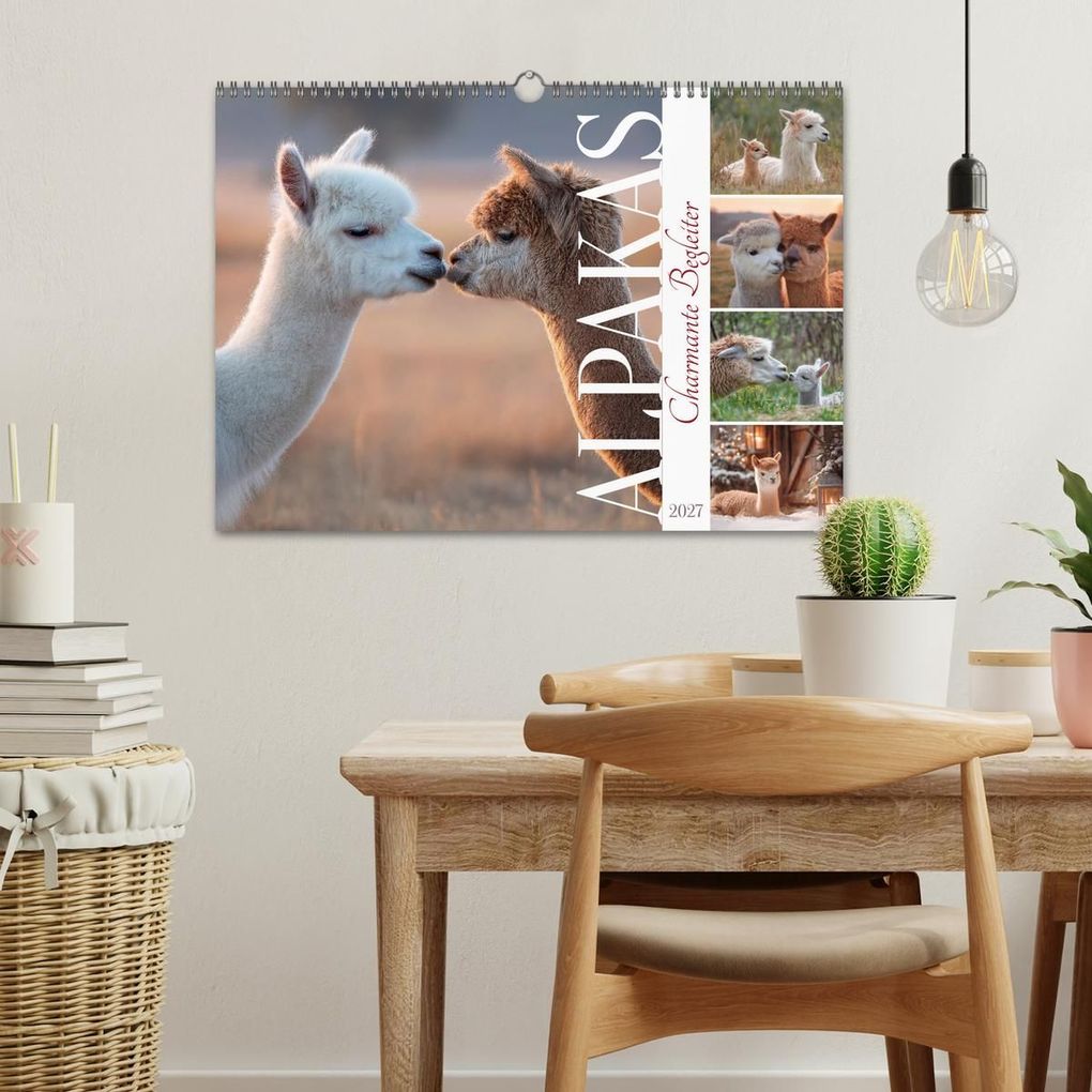 Weitere Ansicht: Alpakas - Charmante Begleiter (Wandkalender 2027 DIN A3 quer), CALVENDO Monatskalender | Melanie Viola, Calvendo