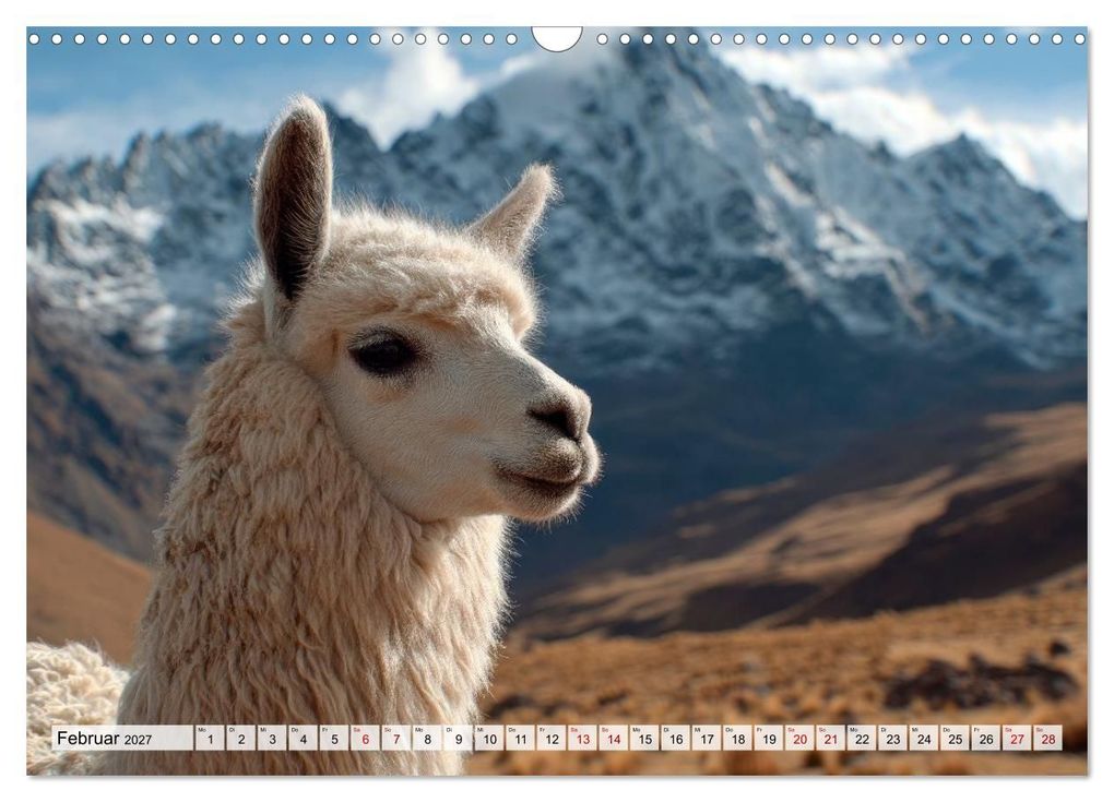 Weitere Ansicht: Alpakas - Charmante Begleiter (Wandkalender 2027 DIN A3 quer), CALVENDO Monatskalender | Melanie Viola, Calvendo