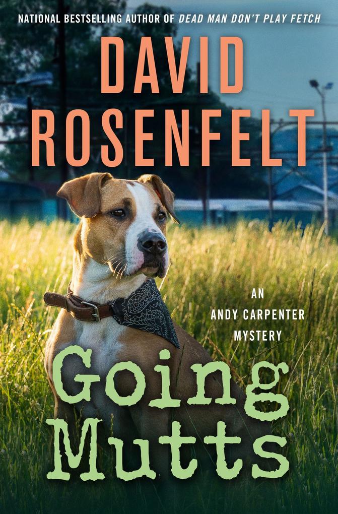Produktbild: Going Mutts | David Rosenfelt