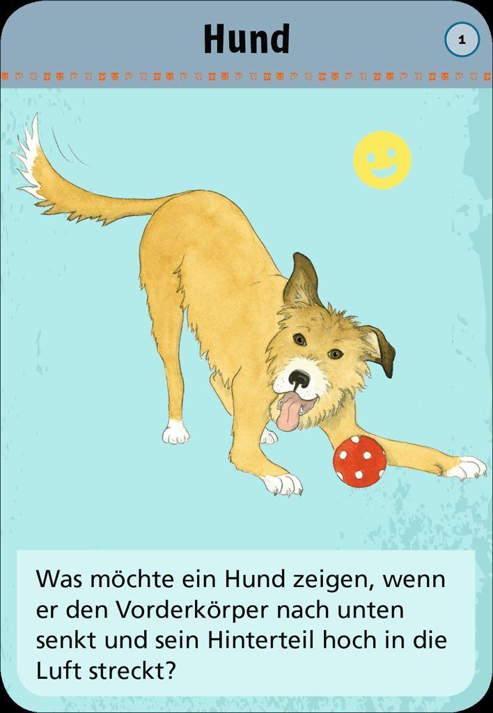 Weitere Ansicht: 50x tierische Gefühle | Victoria Anna Muller