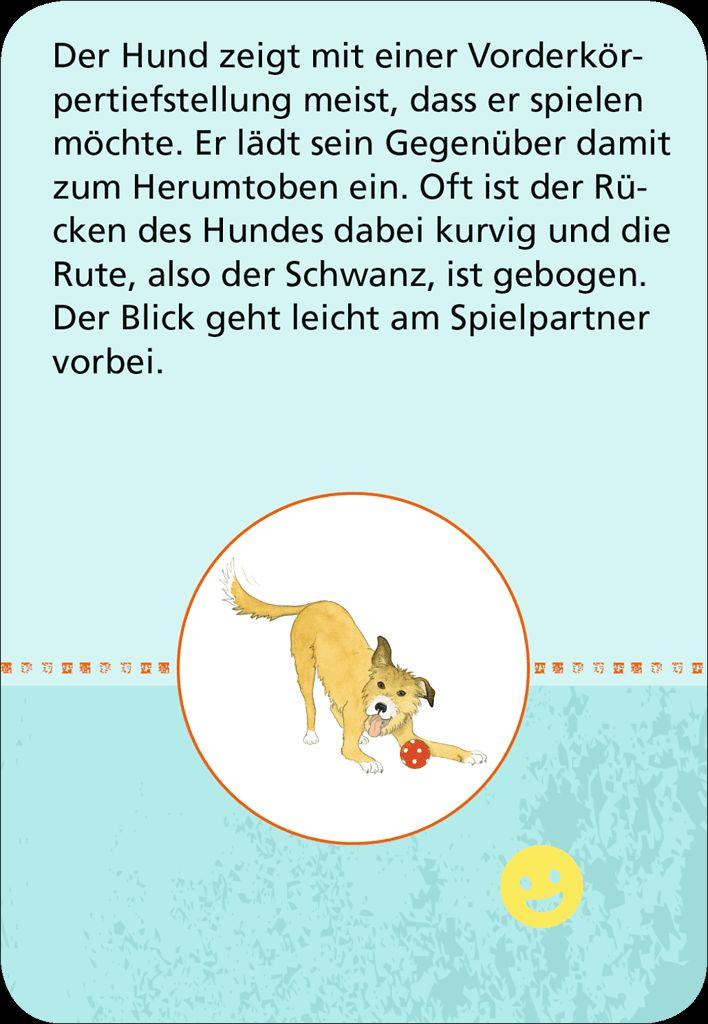 Weitere Ansicht: 50x tierische Gefühle | Victoria Anna Muller