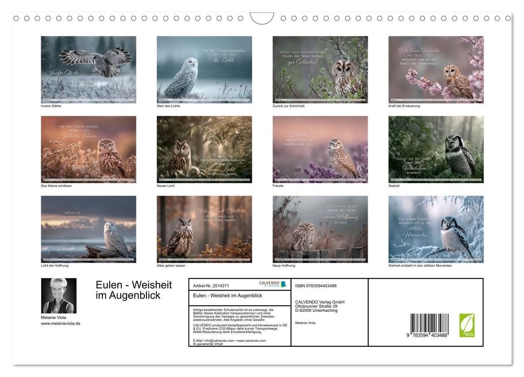 Weitere Ansicht: Eulen - Weisheit im Augenblick (Wandkalender 2027 DIN A3 quer), CALVENDO Monatskalender | Melanie Viola, Calvendo