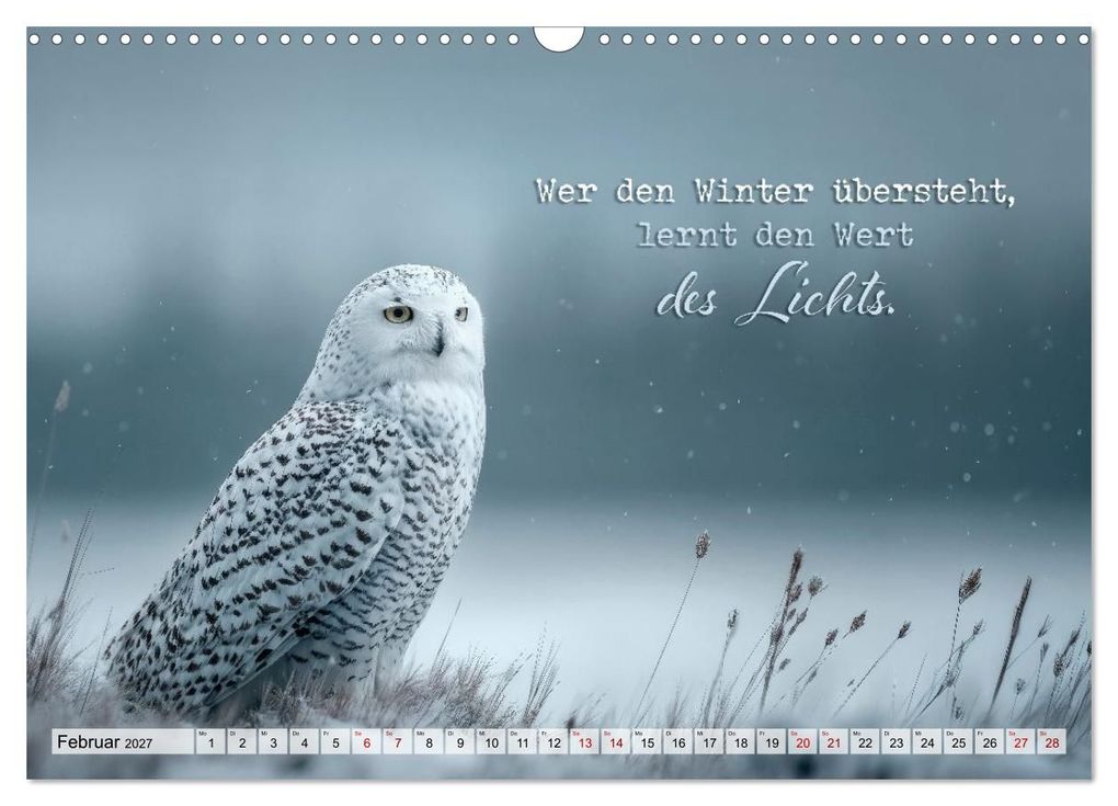 Weitere Ansicht: Eulen - Weisheit im Augenblick (Wandkalender 2027 DIN A3 quer), CALVENDO Monatskalender | Melanie Viola, Calvendo