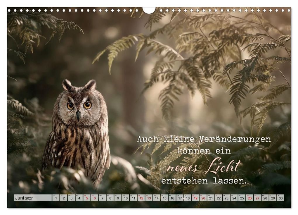 Weitere Ansicht: Eulen - Weisheit im Augenblick (Wandkalender 2027 DIN A3 quer), CALVENDO Monatskalender | Melanie Viola, Calvendo