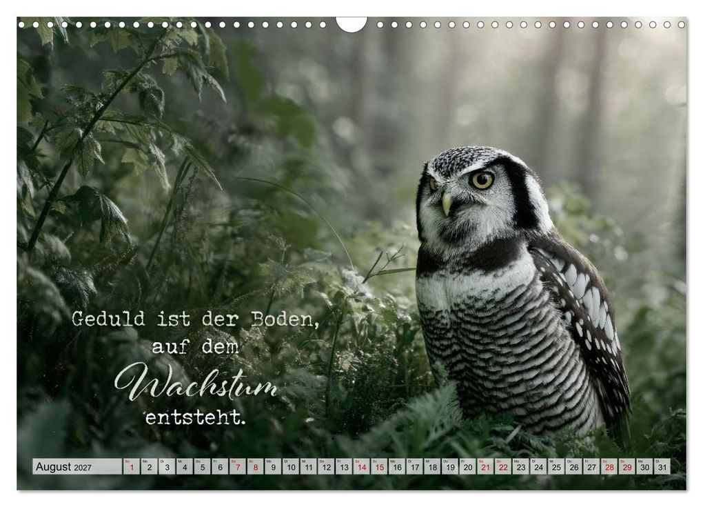 Weitere Ansicht: Eulen - Weisheit im Augenblick (Wandkalender 2027 DIN A3 quer), CALVENDO Monatskalender | Melanie Viola, Calvendo