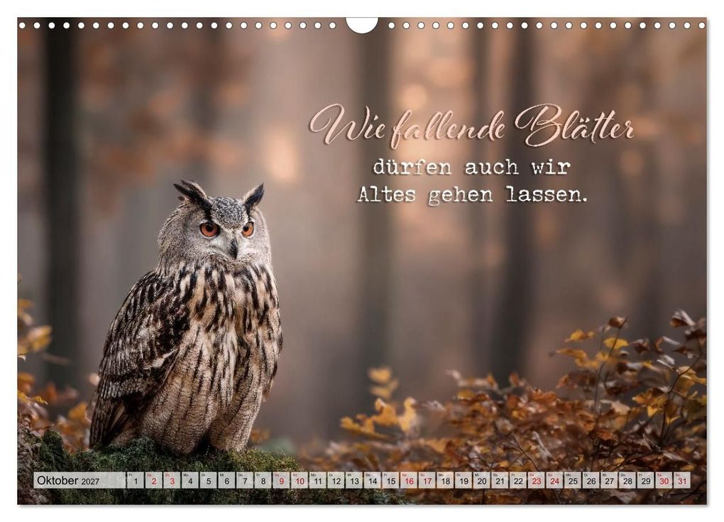 Weitere Ansicht: Eulen - Weisheit im Augenblick (Wandkalender 2027 DIN A3 quer), CALVENDO Monatskalender | Melanie Viola, Calvendo