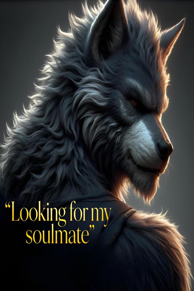 Produktbild: Looking for my soulmate | Trascendental Publishing House