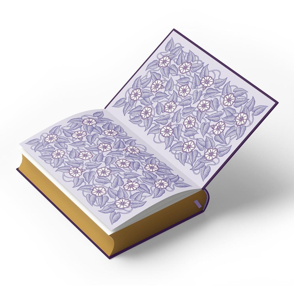 Weitere Ansicht: Eclipse: Deluxe Collector's Edition | Stephenie Meyer