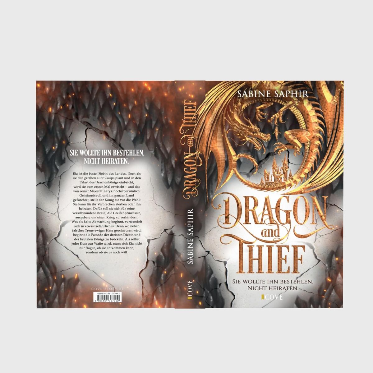 Weitere Ansicht: Dragon & Thief | Sabine Saphir