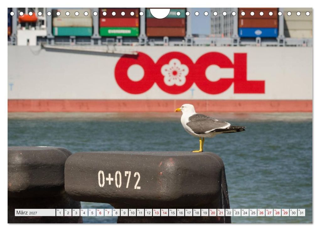 Weitere Ansicht: JadeWeserPort Wilhelmshaven - Maritime Perspektiven am Containerhafen (Wandkalender 2027 DIN A4 quer), CALVENDO Monatskalender | www.geniusstrand.de, Calvendo