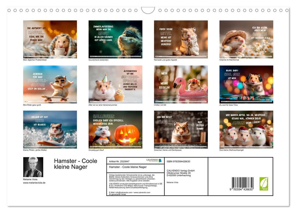 Weitere Ansicht: Hamster - Coole kleine Nager (Wandkalender 2027 DIN A3 quer), CALVENDO Monatskalender | Melanie Viola, Calvendo