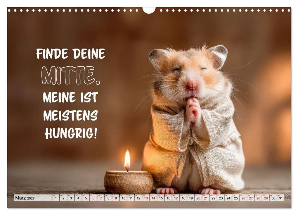 Weitere Ansicht: Hamster - Coole kleine Nager (Wandkalender 2027 DIN A3 quer), CALVENDO Monatskalender | Melanie Viola, Calvendo