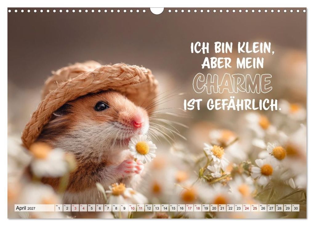 Weitere Ansicht: Hamster - Coole kleine Nager (Wandkalender 2027 DIN A3 quer), CALVENDO Monatskalender | Melanie Viola, Calvendo