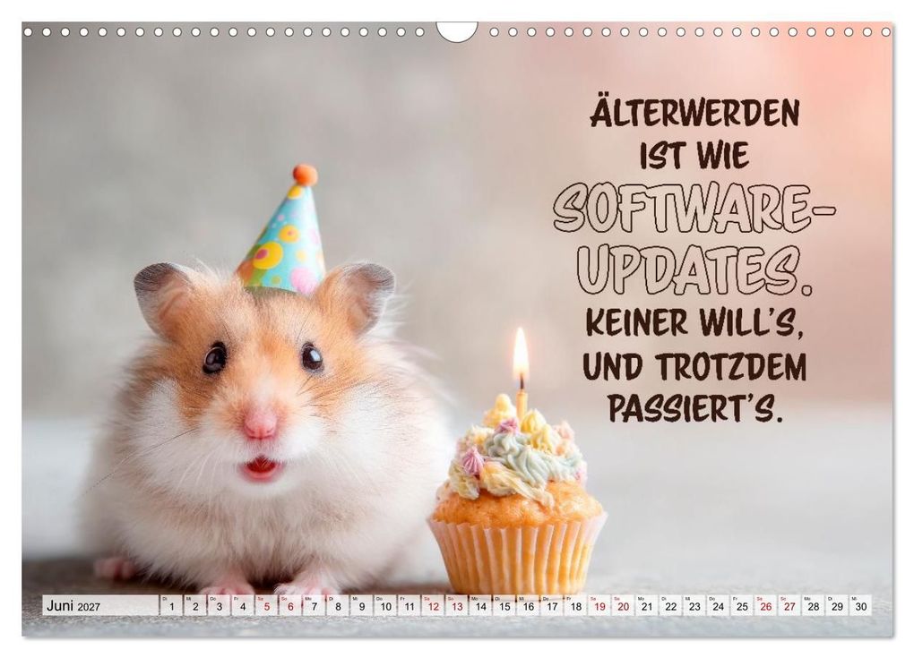 Weitere Ansicht: Hamster - Coole kleine Nager (Wandkalender 2027 DIN A3 quer), CALVENDO Monatskalender | Melanie Viola, Calvendo